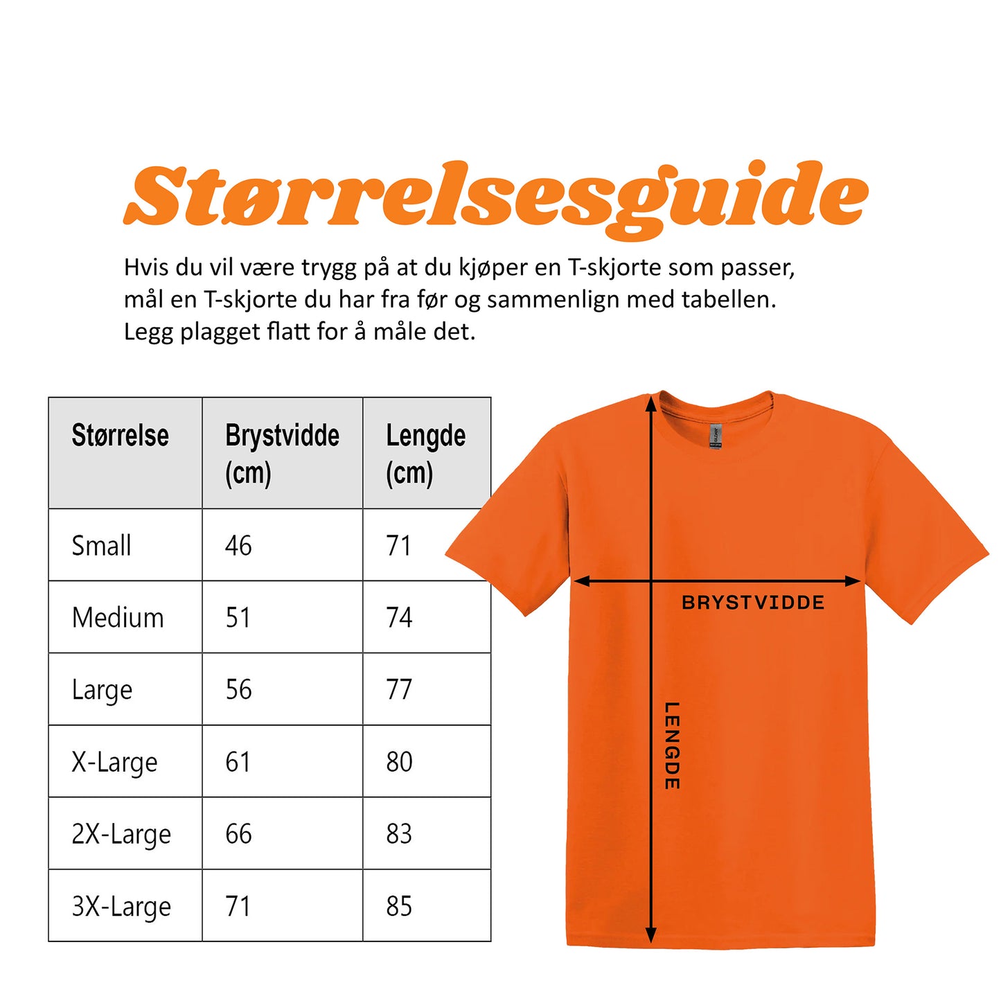 Godkjent fotballidiot